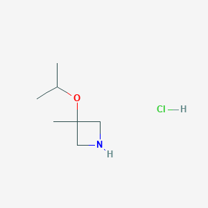 molecular formula C7H16ClNO B8096166 3-Isopropoxy-3-methylazetidine hydrochloride 