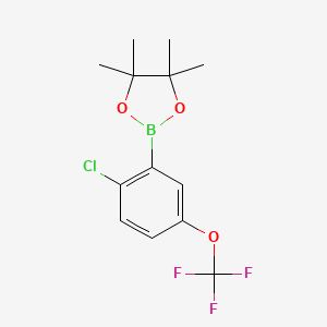 molecular formula C13H15BClF3O3 B8096235 2-Chloro-5-(trifluoromethoxy)phenylboronic acid pinacol ester CAS No. 2121512-77-2