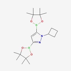 1-Cyclobutyl-1H-pyrazole-3,5-diboronic acid pinacol ester
