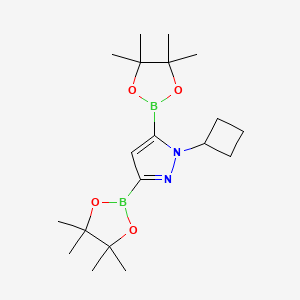 molecular formula C19H32B2N2O4 B8096630 1-Cyclobutyl-1H-pyrazole-3,5-diboronic acid pinacol ester 