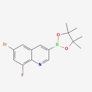 molecular formula C15H16BBrFNO2 B8096863 6-Bromo-8-fluoroquinoline-3-boronic acid pinacol ester 