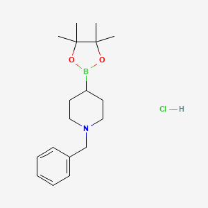 molecular formula C18H29BClNO2 B8097010 1-Benzyl-piperidine-4-boronic acid pinacol ester hydrochloride 