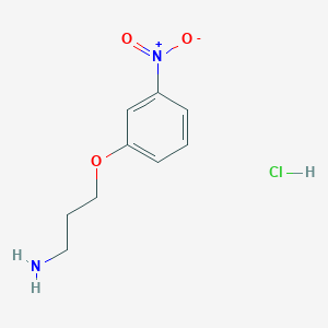 molecular formula C9H13ClN2O3 B8097154 3-(3-Nitrophenoxy)propylamine HCl 