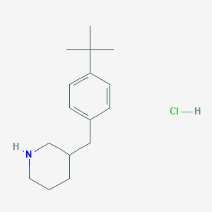 3-[(4-tert-Butylphenyl)methyl]piperidine HCl