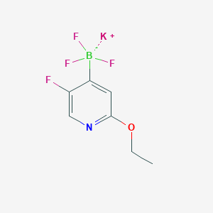 molecular formula C7H7BF4KNO B8097631 Potassium (2-ethoxy-5-fluoropyridin-4-YL)trifluoroboranuide 