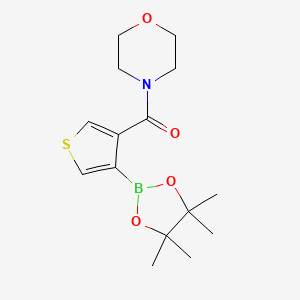 Morpholin-4-yl-[4-(4,4,5,5-tetramethyl-1,3,2-dioxaborolan-2-yl)thiophen-3-yl]methanone