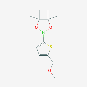 molecular formula C12H19BO3S B8098213 2-(Methoxymethyl)-thiophene-5-boronic acid pinacol ester 