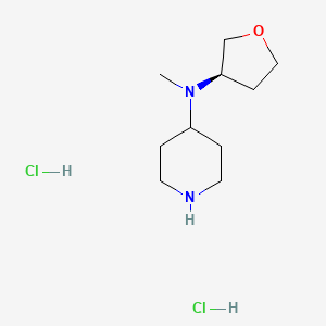 molecular formula C10H22Cl2N2O B8098496 N-Methyl-n-[(3r)-oxolan-3-yl]piperidin-4-amine dihydrochloride 