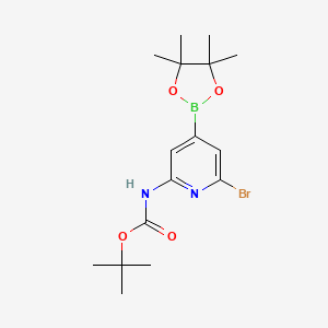 molecular formula C16H24BBrN2O4 B8098546 2-Bocamino-6-bromo-pyridine-4-boronic acid pinacol ester 