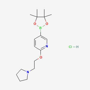 2-(2-Pyrrolidin-1-yl-ethoxy)-pyridine-5-boronic acid pinacol ester hydrochloride