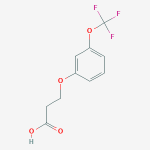 molecular formula C10H9F3O4 B8098604 3-(3-Trifluoromethoxyphenoxy)propanoic acid 