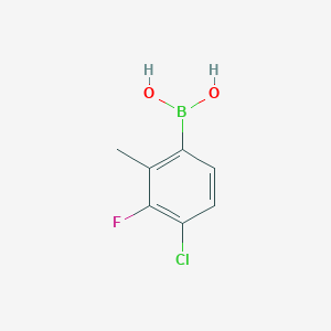 molecular formula C7H7BClFO2 B8098956 4-Chloro-3-fluoro-2-methylphenylboronic acid 