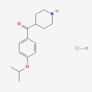 molecular formula C15H22ClNO2 B8099093 (4-Isopropoxy-phenyl)-piperidin-4-yl-methanone hydrochloride 