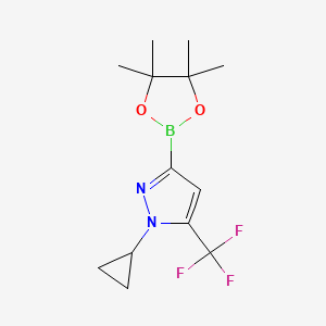 molecular formula C13H18BF3N2O2 B8100614 1-Cyclopropyl-3-(4,4,5,5-tetramethyl-1,3,2-dioxaborolan-2-yl)-5-(trifluoromethyl)pyrazole 