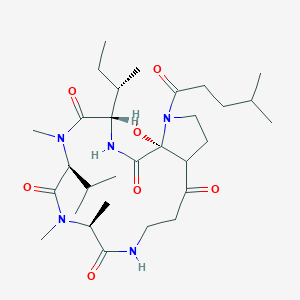 molecular formula C30H51N5O7 B8101032 Cyclo[N-methyl-L-alanyl-beta-alanyl-(2R)-2-hydroxy-4-methylpentanoyl-L-prolyl-L-isoleucyl-N-methyl-L-valyl] 