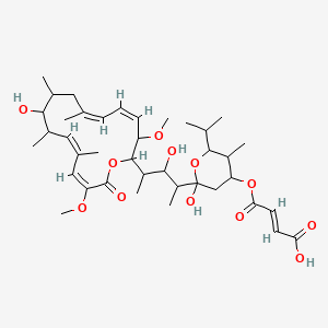 molecular formula C39H60O12 B8101049 (E)-4-[2-hydroxy-2-[3-hydroxy-4-[(4Z,6Z,12Z,14E)-10-hydroxy-3,15-dimethoxy-7,9,11,13-tetramethyl-16-oxo-1-oxacyclohexadeca-4,6,12,14-tetraen-2-yl]pentan-2-yl]-5-methyl-6-propan-2-yloxan-4-yl]oxy-4-oxobut-2-enoic acid 