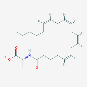 molecular formula C23H37NO3 B8101502 N-(1-Oxo-5Z,8Z,11Z,14Z-eicosatetraenyl)-L-alanine 