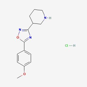 molecular formula C14H18ClN3O2 B8102490 5-(4-Methoxyphenyl)-3-piperidin-3-yl-1,2,4-oxadiazole;hydrochloride 