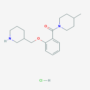molecular formula C19H29ClN2O2 B8102521 (4-Methylpiperidin-1-yl)-[2-(piperidin-3-ylmethoxy)phenyl]methanone;hydrochloride 