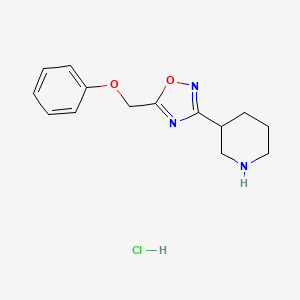 molecular formula C14H18ClN3O2 B8102530 5-(Phenoxymethyl)-3-piperidin-3-yl-1,2,4-oxadiazole;hydrochloride 