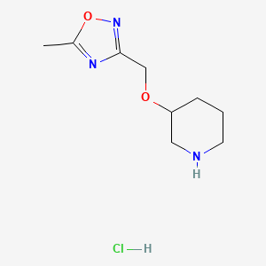 molecular formula C9H16ClN3O2 B8102699 5-Methyl-3-(piperidin-3-yloxymethyl)-1,2,4-oxadiazole;hydrochloride 