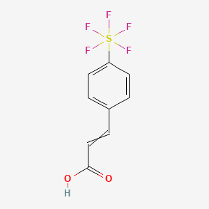 molecular formula C9H7F5O2S B8103356 3-(4-Pentafluorosulfanyl-phenyl)-acrylic Acid 