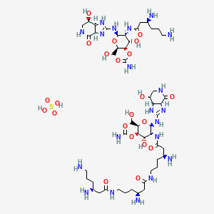 molecular formula C50H94N20O22S B8103473 诺西霉素（硫酸盐） 