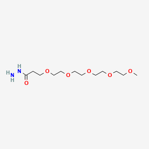 molecular formula C12H26N2O6 B8104021 m-PEG5-Hydrazide 