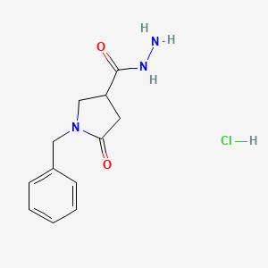 molecular formula C12H16ClN3O2 B8104694 1-Benzyl-5-oxopyrrolidine-3-carbohydrazide hydrochloride 