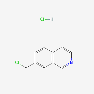 molecular formula C10H9Cl2N B8105455 7-(Chloromethyl)isoquinoline hydrochloride 