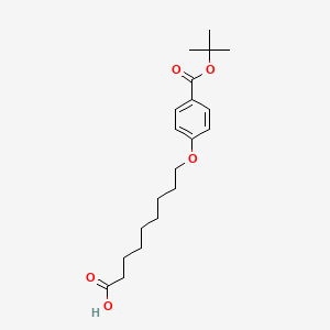 molecular formula C20H30O5 B8105506 9-(4-(Tert-butoxycarbonyl)phenoxy)nonanoic acid 