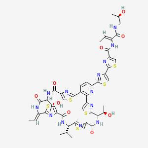 molecular formula C48H49N13O9S6 B8105991 2-[2-[(19S,26Z)-26-ethylidene-12,29-bis[(1R)-1-hydroxyethyl]-14,21,28,31-tetraoxo-19-propan-2-yl-10,17,24,34-tetrathia-6,13,20,27,30,35,36,37,38-nonazahexacyclo[30.2.1.18,11.115,18.122,25.02,7]octatriaconta-1(35),2(7),3,5,8,11(38),15,18(37),22,25(36),32-undecaen-5-yl]-1,3-thiazol-4-yl]-N-[(Z)-1-[[(2R)-2-hydroxypropyl]amino]-1-oxobut-2-en-2-yl]-1,3-thiazole-4-carboxamide 