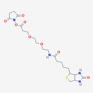 molecular formula C21H32N4O8S B8106338 2,5-Dioxopyrrolidin-1-yl 3-(2-(2-(5-(2-oxohexahydro-1H-thieno[3,4-d]imidazol-4-yl)pentanamido)ethoxy)ethoxy)propanoate 