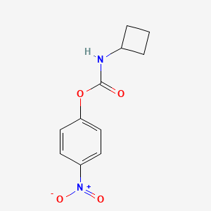 molecular formula C11H12N2O4 B8106830 4-Nitrophenyl cyclobutylcarbamate 