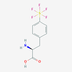 molecular formula C9H10F5NO2S B8112045 4-(Pentafluorosulfanyl)-DL-phenylalanine 