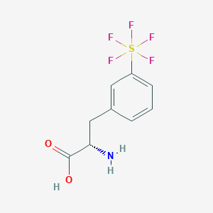 molecular formula C9H10F5NO2S B8112047 3-(Pentafluorosulfanyl)-DL-phenylalanine 