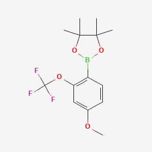molecular formula C14H18BF3O4 B8112640 2-(4-Methoxy-2-(trifluoromethoxy)phenyl)-4,4,5,5-tetramethyl-1,3,2-dioxaborolane 