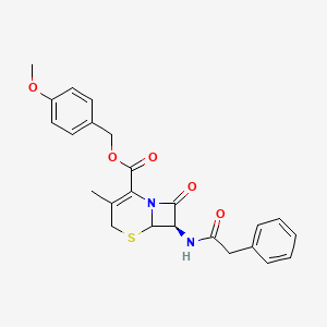 molecular formula C24H24N2O5S B8112702 (7R)-4-methoxybenzyl 3-methyl-8-oxo-7-(2-phenylacetamido)-5-thia-1-azabicyclo[4.2.0]oct-2-ene-2-carboxylate 