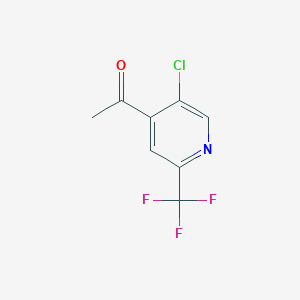 molecular formula C8H5ClF3NO B8113246 1-[5-Chloro-2-(trifluoromethyl)-4-pyridyl]ethanone 