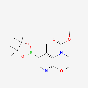 molecular formula C19H29BN2O5 B8113251 tert-butyl 8-methyl-7-(4,4,5,5-tetramethyl-1,3,2-dioxaborolan-2-yl)-2,3-dihydro-1H-pyrido[2,3-b][1,4]oxazine-1-carboxylate 