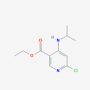 molecular formula C11H15ClN2O2 B8113379 Ethyl 6-chloro-4-(isopropylamino)nicotinate 