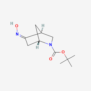 molecular formula C11H18N2O3 B8113487 tert-butyl (1S,4S,5Z)-5-hydroxyimino-2-azabicyclo[2.2.1]heptane-2-carboxylate 