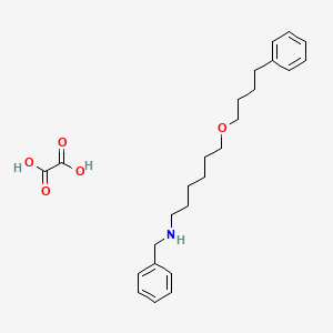 molecular formula C25H35NO5 B8113534 N-Benzyl-6-(4-phenylbutoxy)hexan-1-amine oxalate CAS No. 1070788-08-7