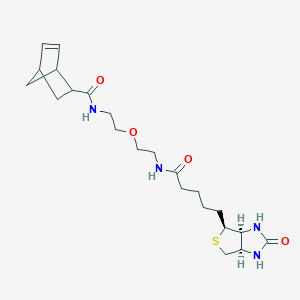 Norbornene-PEG1 Biotin