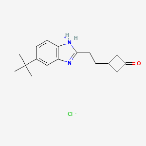 molecular formula C17H23ClN2O B8115388 3-[2-(5-tert-butyl-1H-benzimidazol-1-ium-2-yl)ethyl]cyclobutan-1-one;chloride 