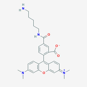 molecular formula C30H34N4O4 B8116082 5-TAMRA cadaverine 
