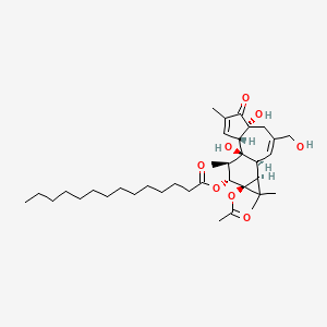 molecular formula C36H56O8 B8116388 [(1S,2S,6R,10S,11S,13S,14R,15R)-13-acetyloxy-1,6-dihydroxy-8-(hydroxymethyl)-4,12,12,15-tetramethyl-5-oxo-14-tetracyclo[8.5.0.02,6.011,13]pentadeca-3,8-dienyl] tetradecanoate 