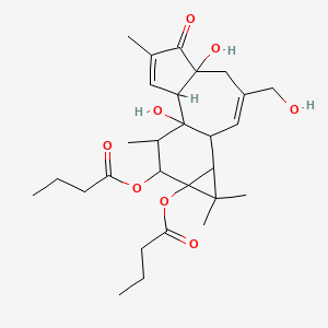molecular formula C28H40O8 B8117905 Phorbol-12,13-dibutyrate 