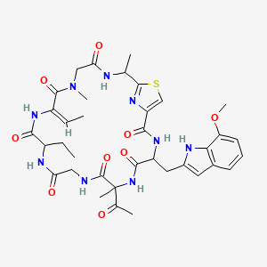molecular formula C36H45N9O9S B8117910 cyclo[DL-Abu-Abu(2,3-dehydro)-Sar-Unk-DL-Ala(Unk)-DL-aMeGly(Ac)-Gly] 