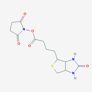 molecular formula C13H17N3O5S B8118648 Biotin NHS ester 